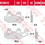 TRW Pastilla de Freno Trasero para Kawasaki KLR 650 / Versys 300 ABS