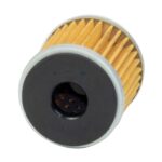 FILTRO ACEITE PROTECH PT-593 / BENELLI TNT 25 - LEONCINO 250 - TRK 251