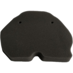 Filtro de Aire Protech benelli TNT 300